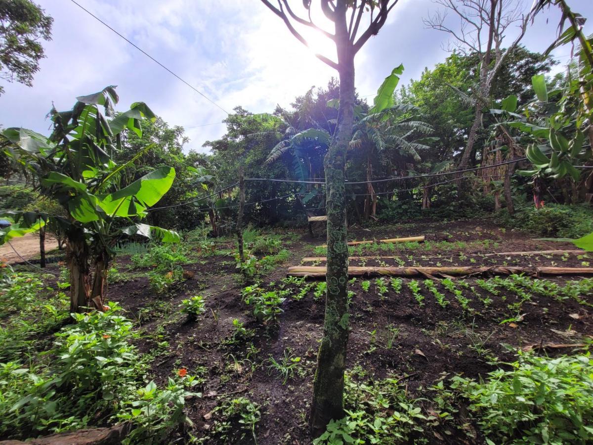 Granja Los Campesinos Monteverde Zewnętrze zdjęcie