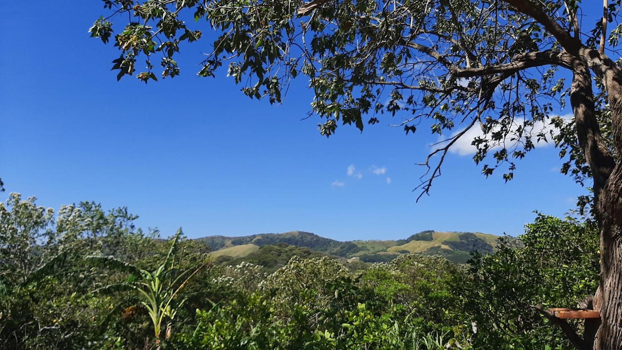 Granja Los Campesinos Monteverde Zewnętrze zdjęcie