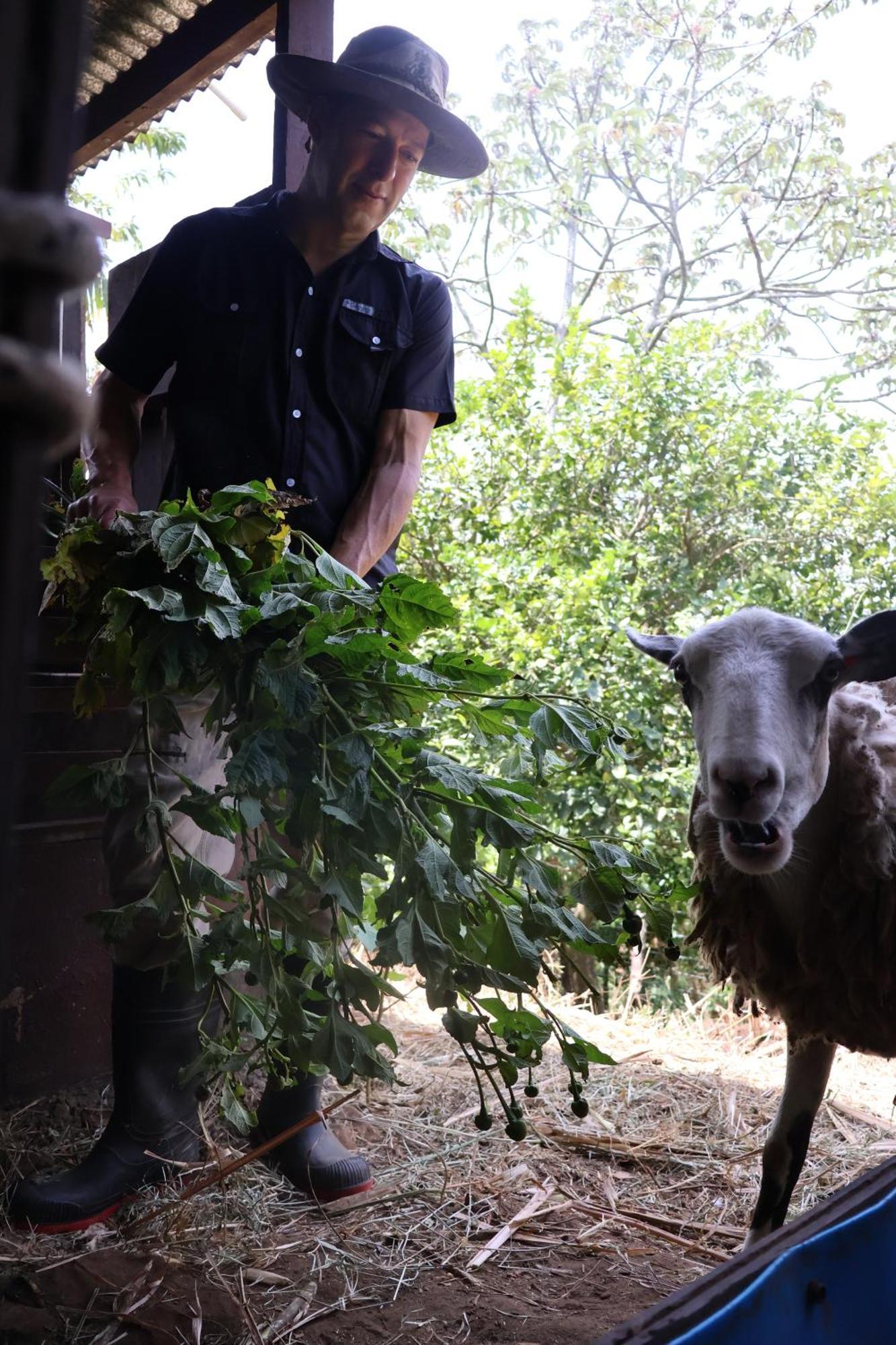 Granja Los Campesinos Monteverde Zewnętrze zdjęcie